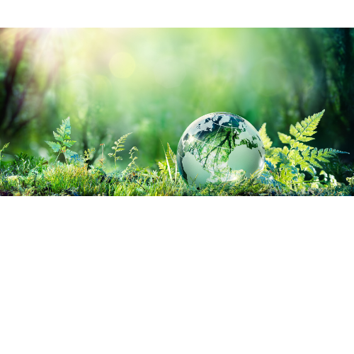 Eco-friendly practice