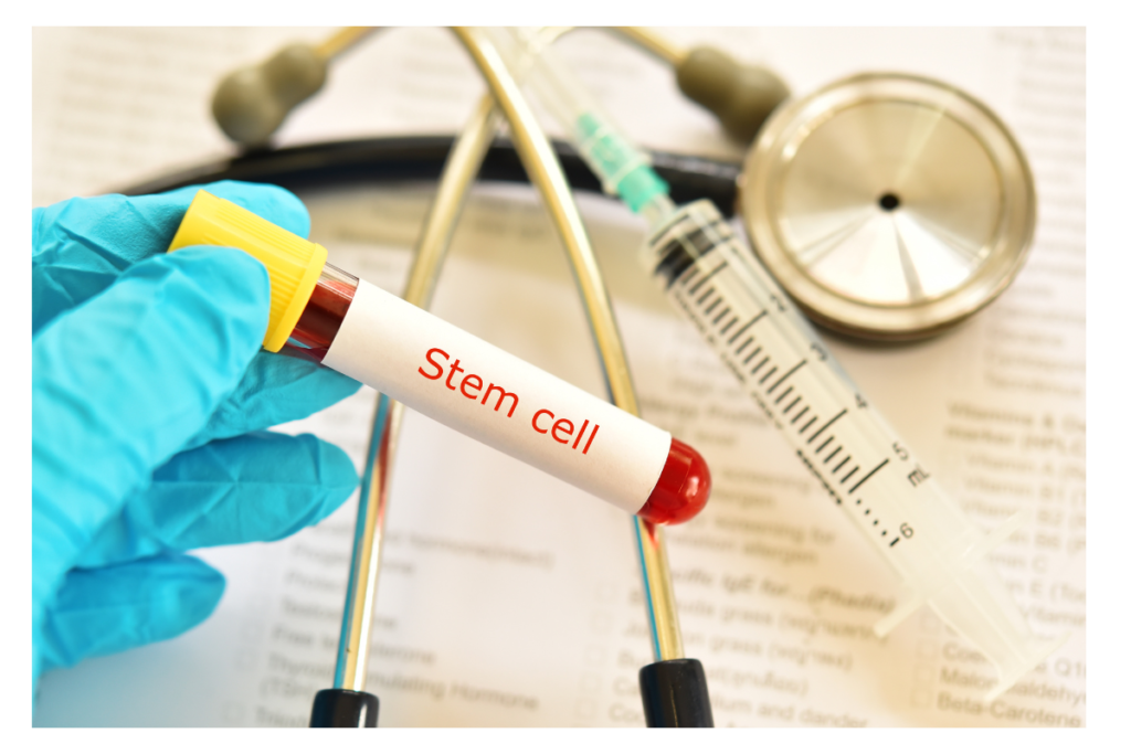 stem cells haematology