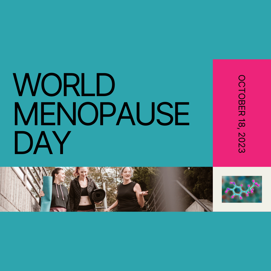 World Menopause Day