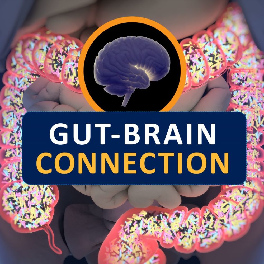 gut brain connection