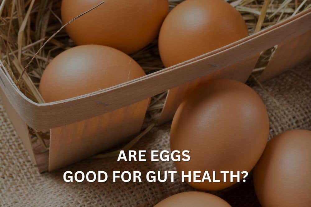 Are Eggs Good for Gut Health