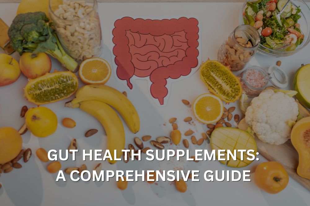 a guide to gut health supplements