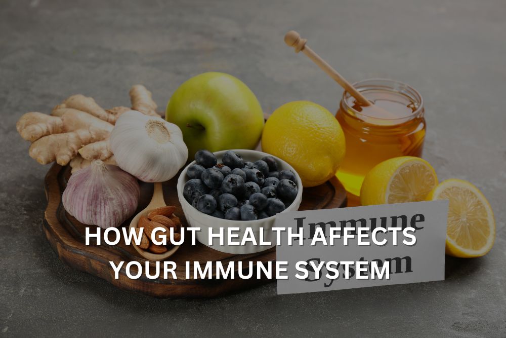 How Gut Health Affects Your Immune System