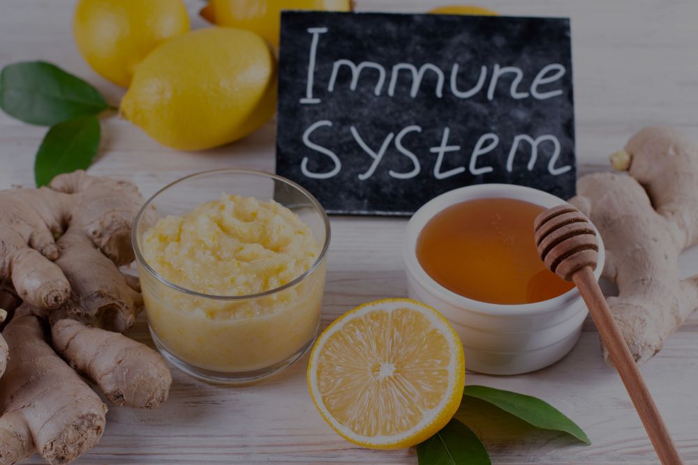 look after your gut health to help your immune system