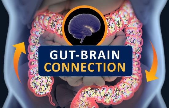 gut brain connection